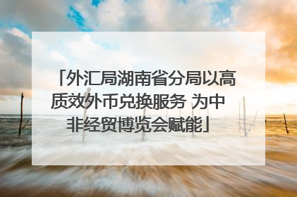 外汇局湖南省分局以高质效外币兑换服务 为中非经贸博览会赋能
