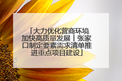 大力优化营商环境 加快高质量发展丨张家口制定要素需求清单推进重点项目建设