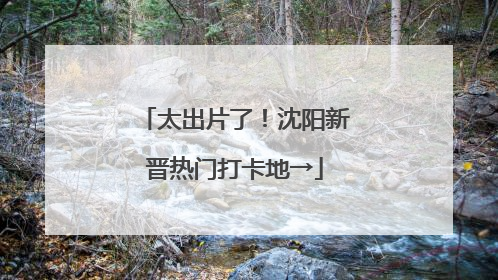 太出片了！沈阳新晋热门打卡地→