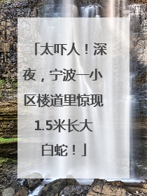 太吓人！深夜，宁波一小区楼道里惊现1.5米长大白蛇！