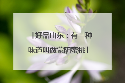 好品山东：有一种味道叫做蒙阴蜜桃
