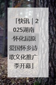 快讯｜2025湖南·怀化屈原爱国怀乡诗歌文化推广季开幕