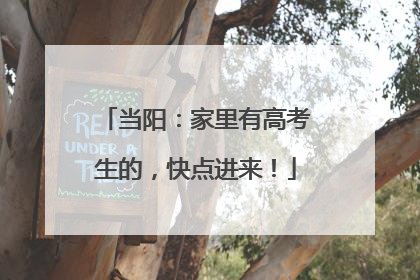 当阳：家里有高考生的，快点进来！