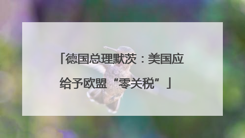 德国总理默茨：美国应给予欧盟“零关税”