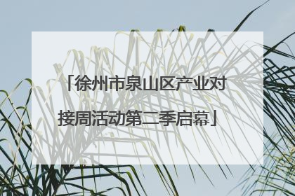 徐州市泉山区产业对接周活动第二季启幕