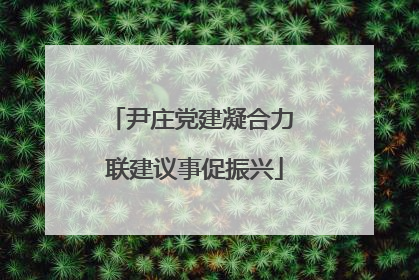 尹庄党建凝合力 联建议事促振兴