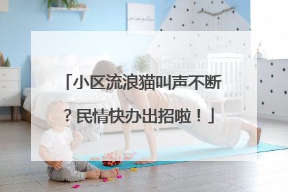 小区流浪猫叫声不断？民情快办出招啦！