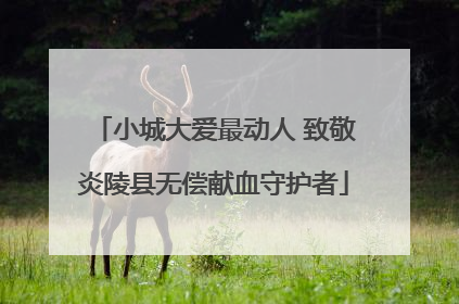 小城大爱最动人 致敬炎陵县无偿献血守护者
