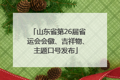山东省第26届省运会会徽、吉祥物、主题口号发布