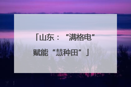 山东：“满格电”赋能“慧种田”