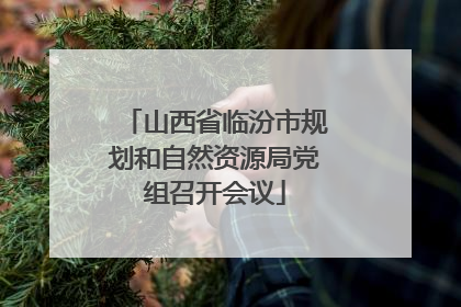 山西省临汾市规划和自然资源局党组召开会议