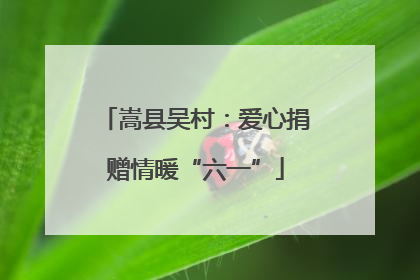 嵩县吴村：爱心捐赠情暖“六一”