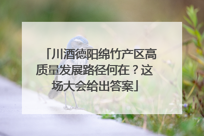 川酒德阳绵竹产区高质量发展路径何在？这场大会给出答案