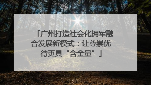 广州打造社会化拥军融合发展新模式：让尊崇优待更具“含金量”