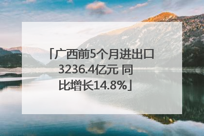广西前5个月进出口3236.4亿元 同比增长14.8%