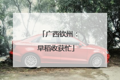 广西钦州：早稻收获忙