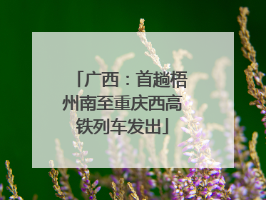 广西：首趟梧州南至重庆西高铁列车发出