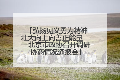 弘扬见义勇为精神 壮大向上向善正能量——北京市政协召开调研协商情况通报会