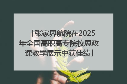 张家界航院在2025年全国高职高专院校思政课教学展示中获佳绩