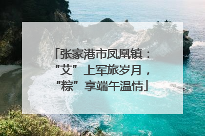 张家港市凤凰镇：“艾”上军旅岁月，“粽”享端午温情