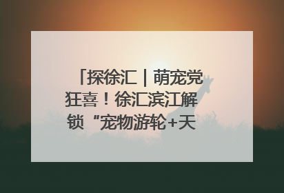 探徐汇｜萌宠党狂喜！徐汇滨江解锁“宠物游轮+天台乐园”双玩法