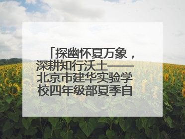 探幽怀夏万象，深耕知行沃土——北京市建华实验学校四年级部夏季自然空间课程纪实