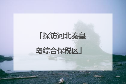 探访河北秦皇岛综合保税区