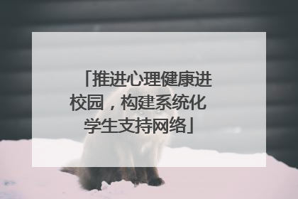 推进心理健康进校园，构建系统化学生支持网络