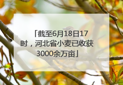 截至6月18日17时，河北省小麦已收获3000余万亩