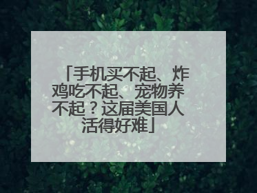 手机买不起、炸鸡吃不起、宠物养不起？这届美国人活得好难