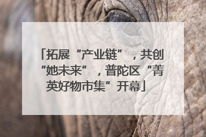 拓展“产业链”，共创“她未来”，普陀区“菁英好物市集”开幕