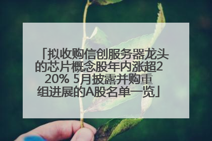 拟收购信创服务器龙头的芯片概念股年内涨超220% 5月披露并购重组进展的A股名单一览