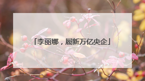 李丽娜，履新万亿央企