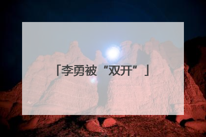 李勇被“双开”