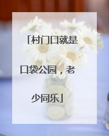 村门口就是口袋公园，老少同乐
