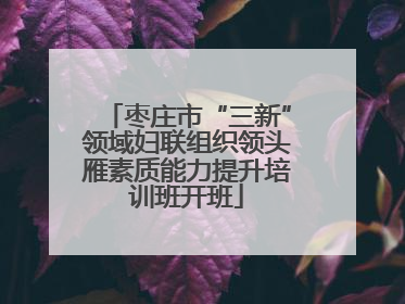 枣庄市“三新”领域妇联组织领头雁素质能力提升培训班开班