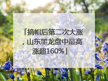 摘帽后第二次大涨，山东墨龙盘中最高涨超160%