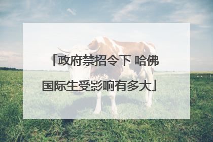政府禁招令下 哈佛国际生受影响有多大