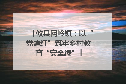 攸县网岭镇：以“党建红”筑牢乡村教育“安全绿”