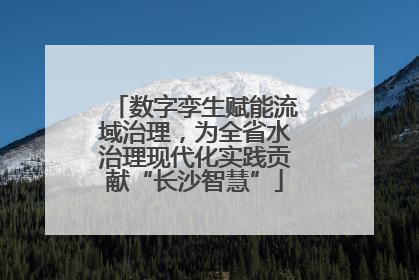 数字孪生赋能流域治理，为全省水治理现代化实践贡献“长沙智慧”