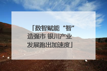 数智赋能“智”造强市 银川产业发展跑出加速度