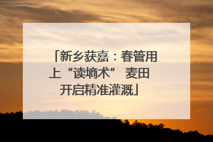 新乡获嘉：春管用上“读墒术” 麦田开启精准灌溉