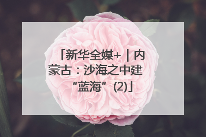 新华全媒+｜内蒙古：沙海之中建“蓝海”(2)