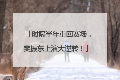 时隔半年重回赛场，樊振东上演大逆转！