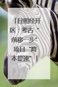 日照经开区：考古“前移一步” 项目“降本提速”