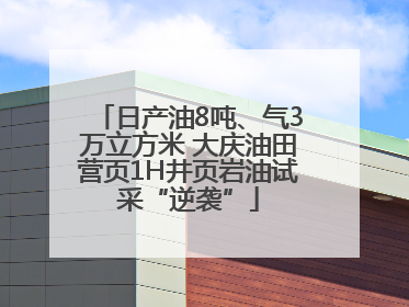 日产油8吨、气3万立方米 大庆油田营页1H井页岩油试采“逆袭”
