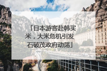 日本游客赴韩买米，大米危机引发石破茂政府动荡