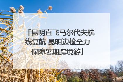昆明直飞马尔代夫航线复航 昆明边检全力保障暑期跨境游