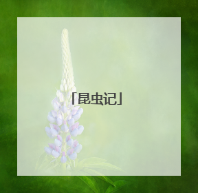 昆虫记