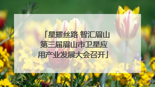 星耀丝路 智汇眉山 第三届眉山市卫星应用产业发展大会召开